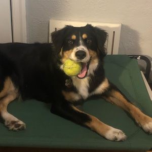 Meet your Posher, Aaron